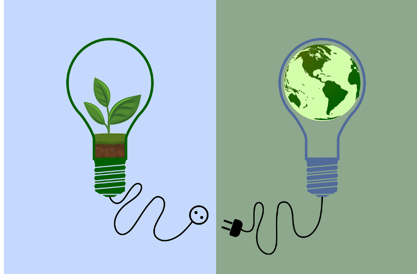 탄소 중립 컨설턴트: 기업의 지속 가능한 미래를 설계하는 전문가