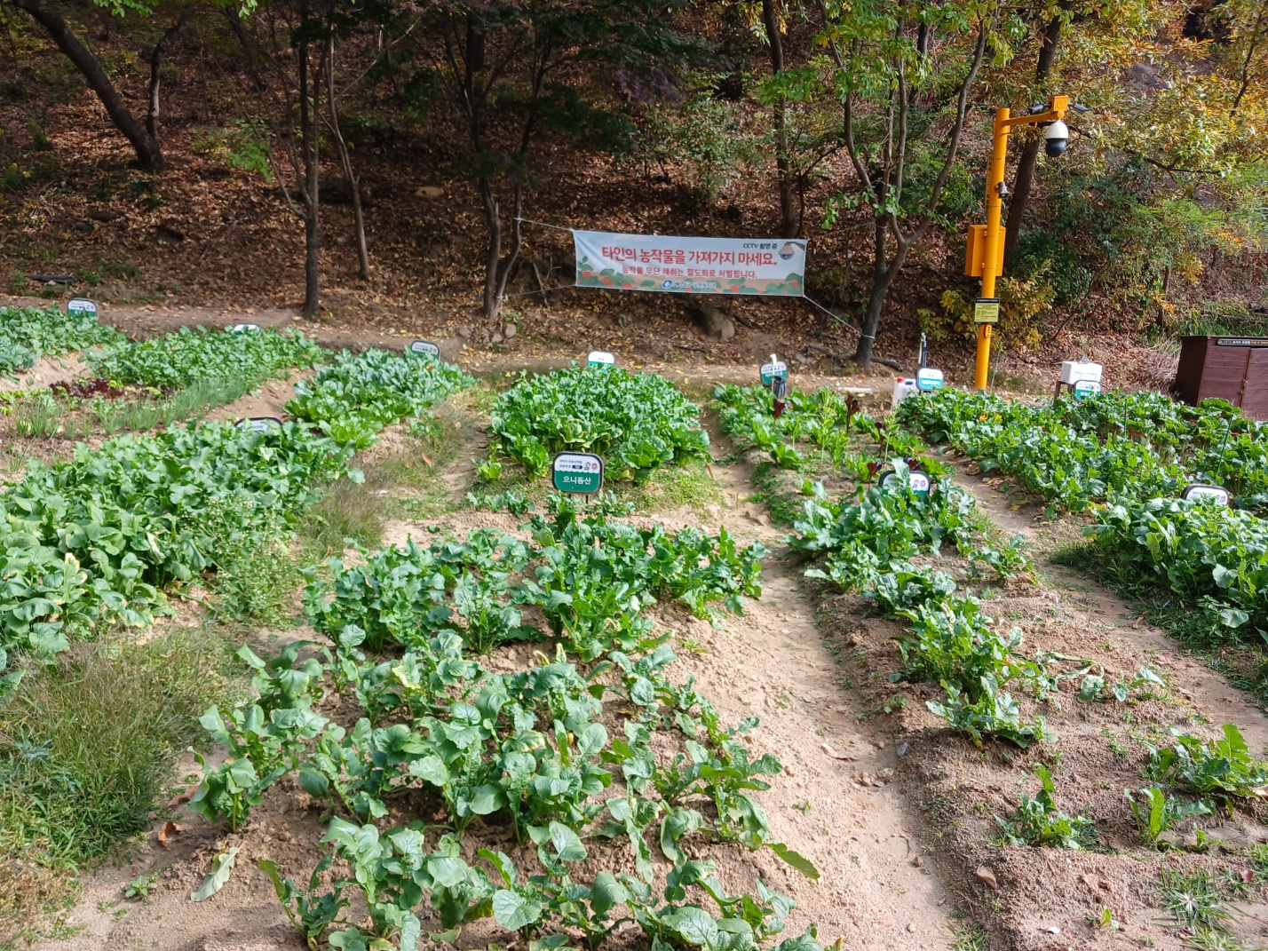 유전학-멘델의-법칙