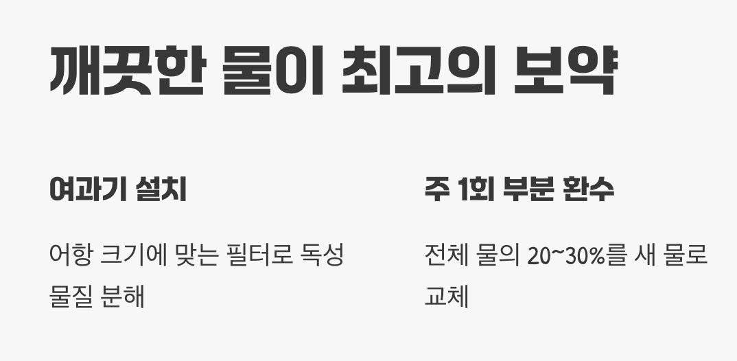 '깨끗한 물'이 최고의 보약