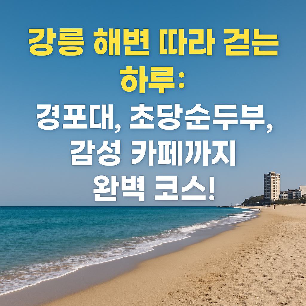 강릉 해변 걷기 & 카페거리 완벽 정복! 인생샷부터 오션뷰 디저트까지, 여기 다 있다?