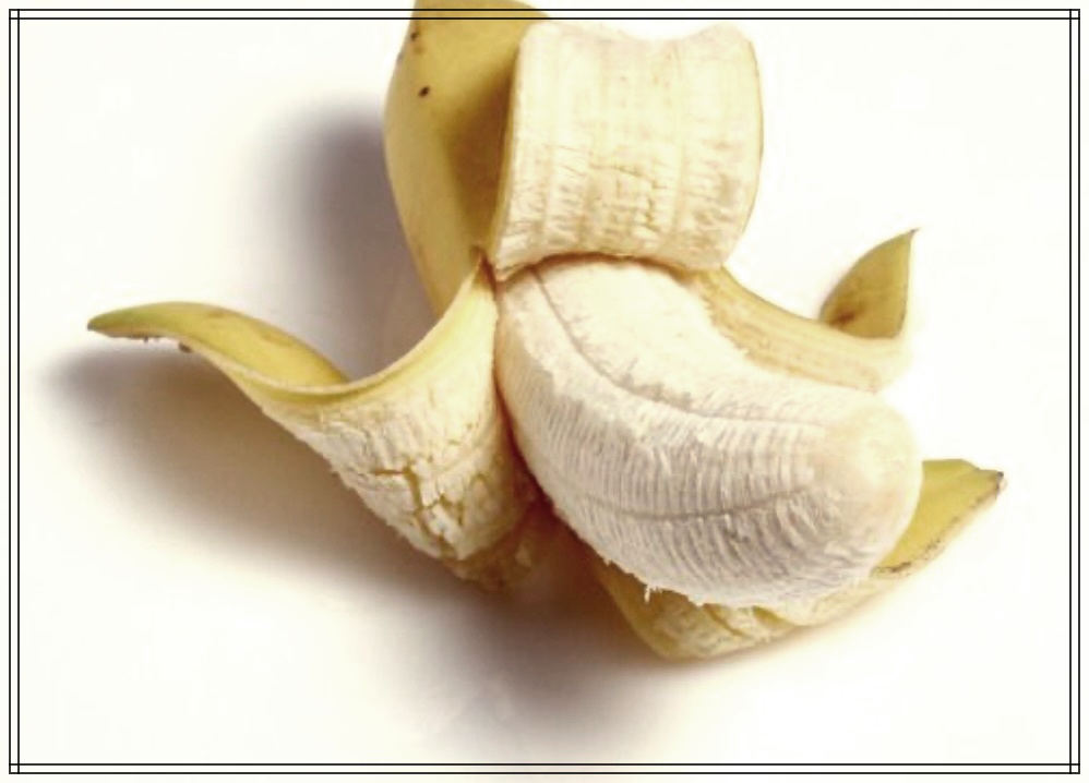 자연포경 방법의 체험과 효과