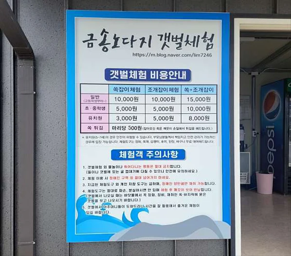 금송노다지 갯벌체험