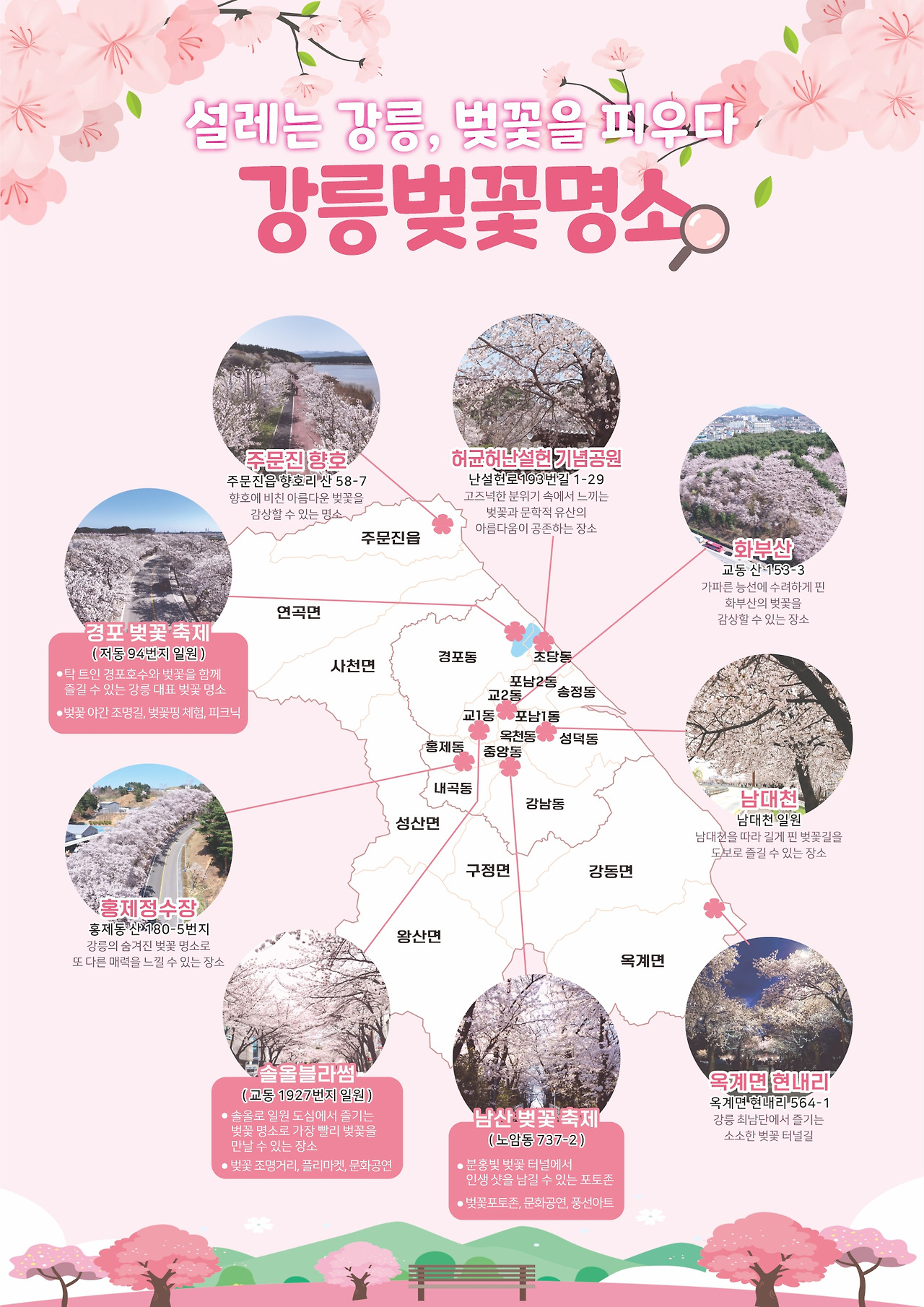 벚꽃 명소 추천