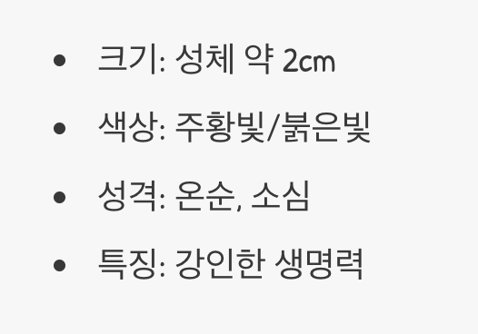 수초 속 작은 불꽃, 엠버테트라