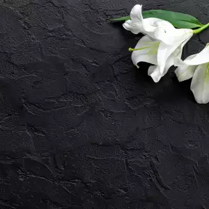 반려견 장례 비용 및 절차