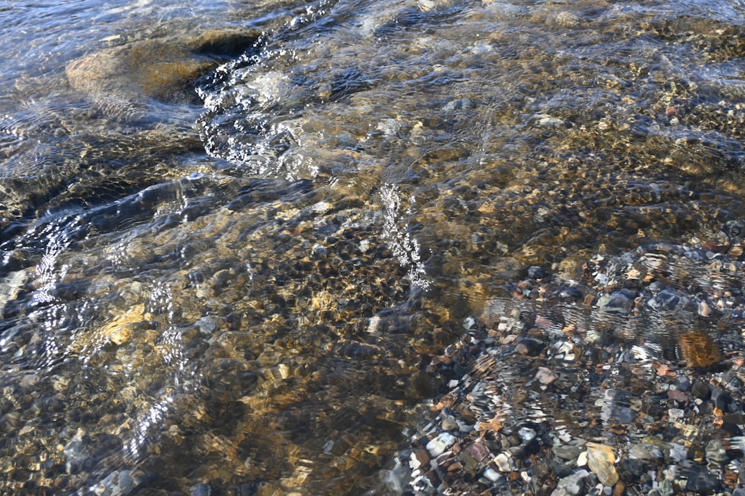 Water quality.