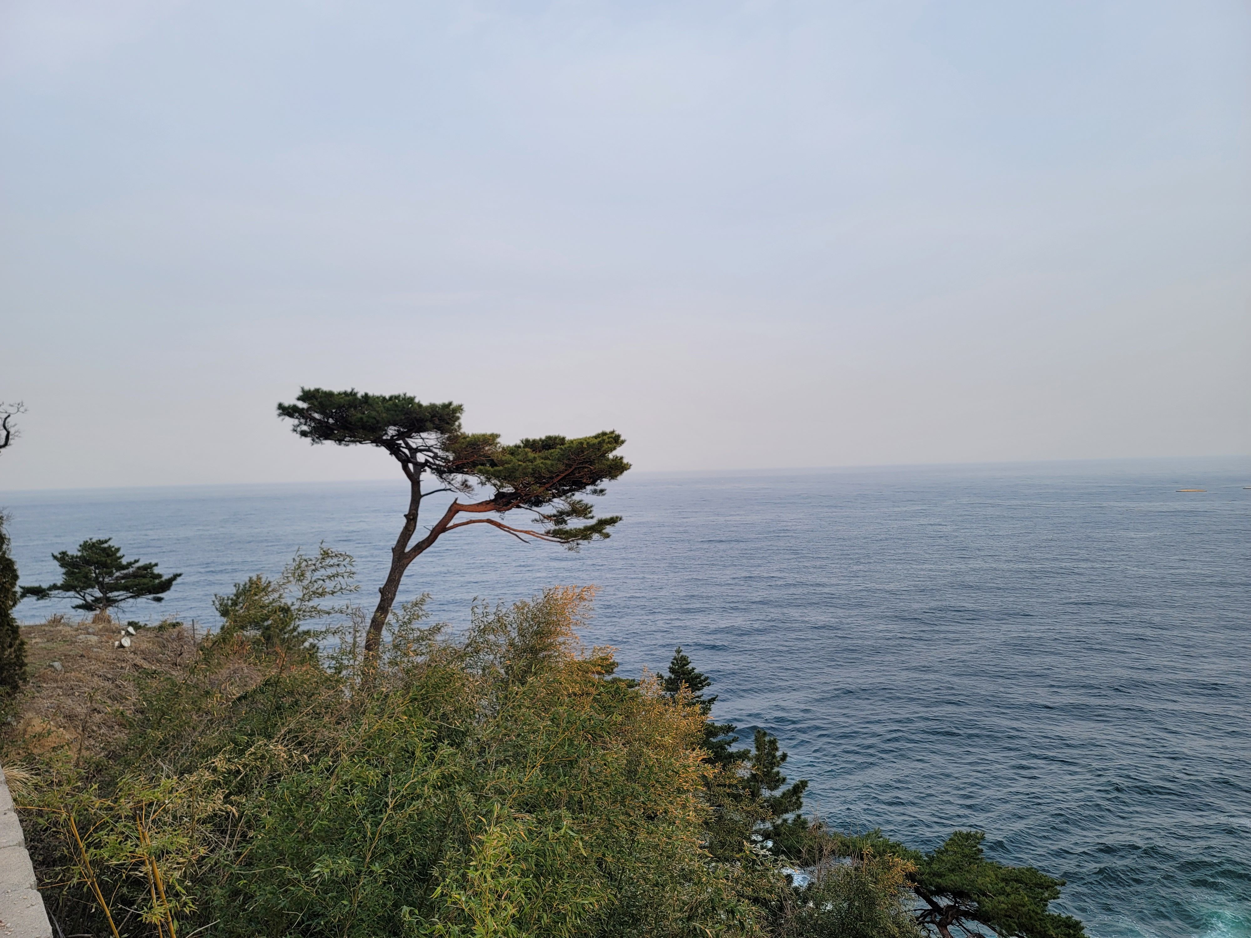 롯데리조트에서 보는 바다