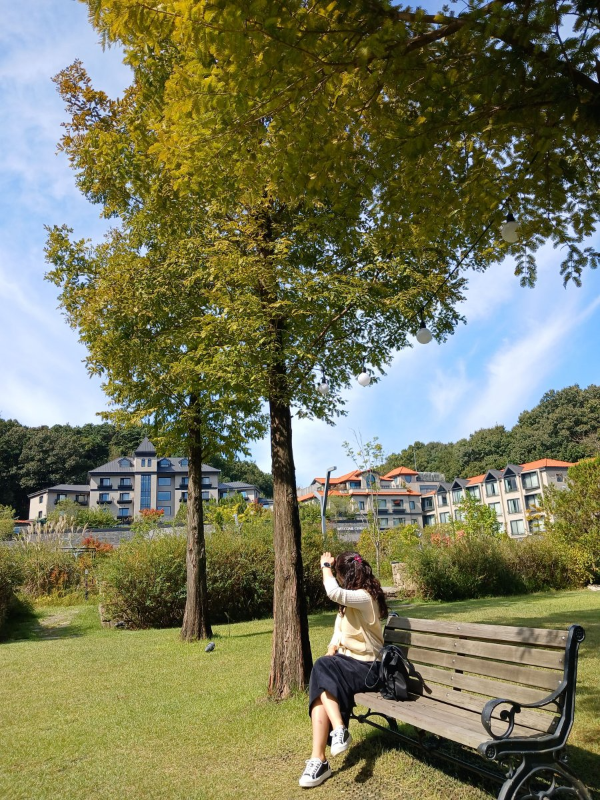 저 멀리 메모리얼 리조트 보이다