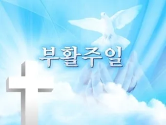 부활절 대표기도문 모음 2025년 4월_8