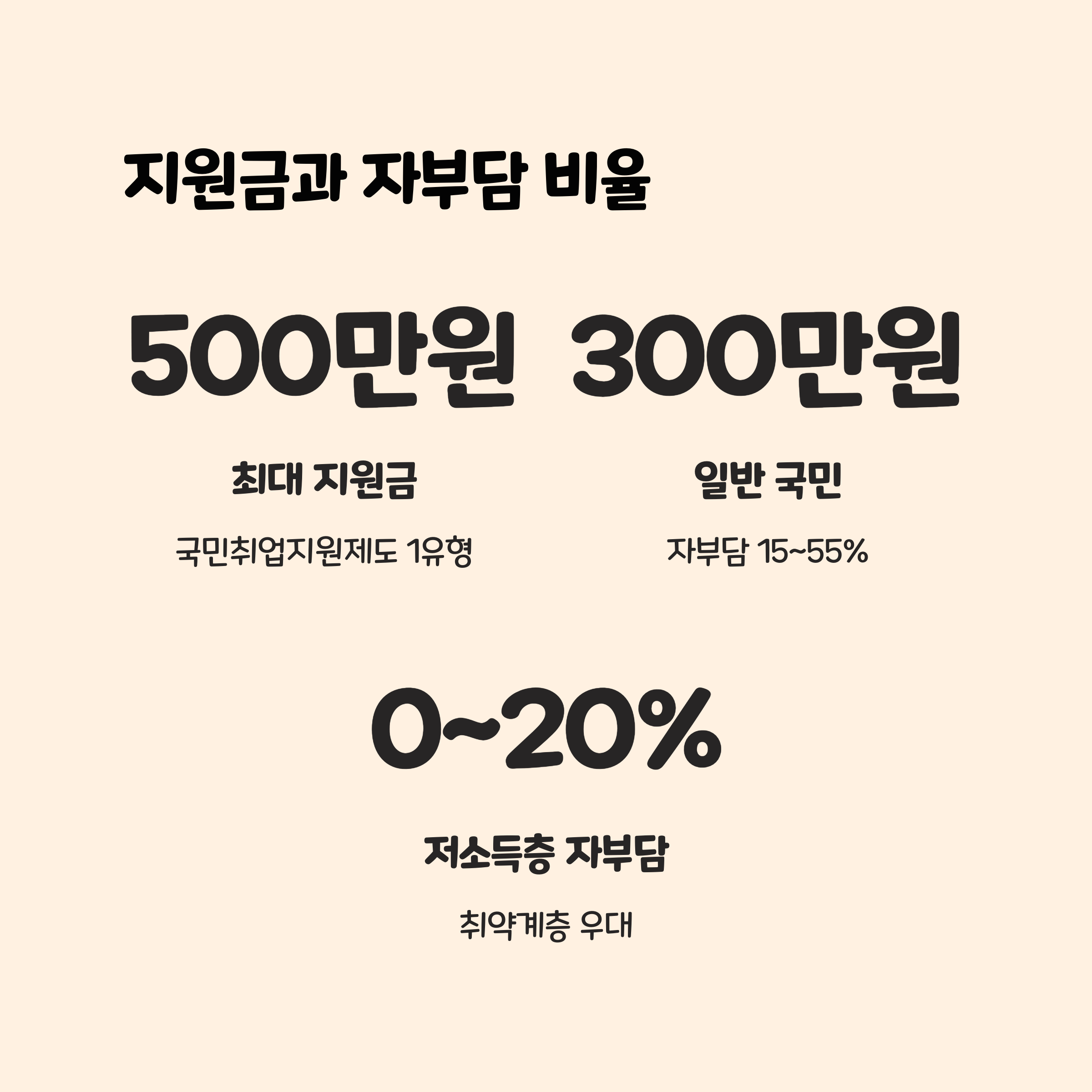 지원금과 자부담 비율