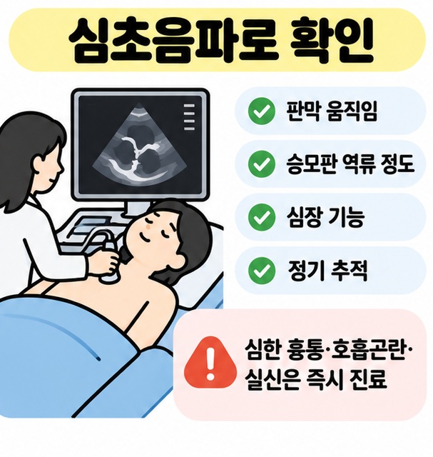 심초음파와 역류 정도 확인, 정기 추적, 필요 시 치료를 체크리스트로 정리한 카드