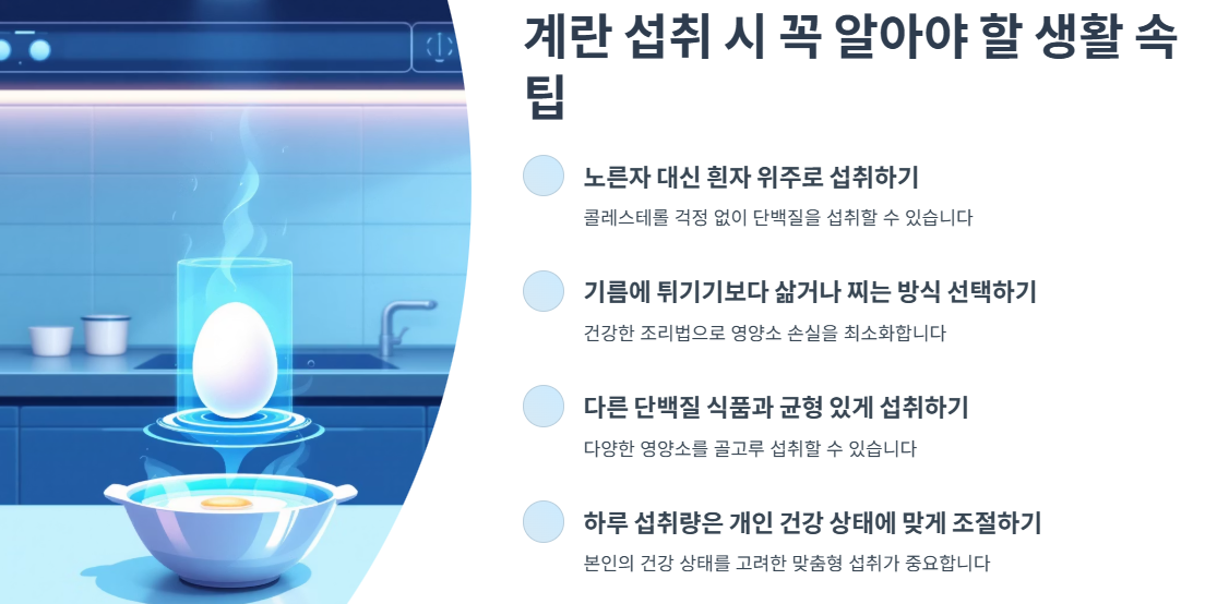 계란 섭취 시 꼭 알아야 할 생활 속 팁