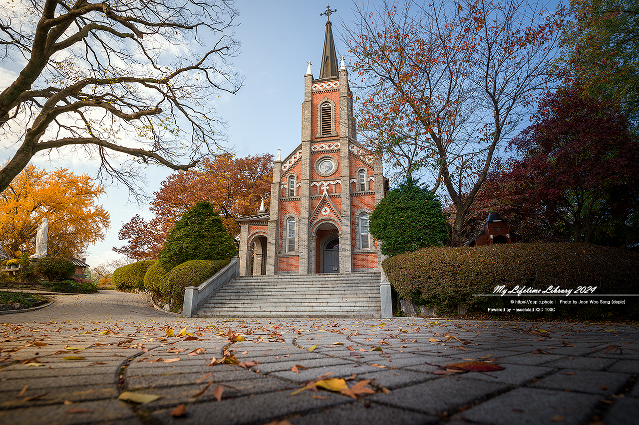 아산 공세리성당 가을 은행 성당 가톨릭