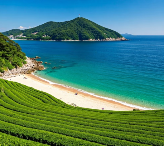 국내 여름 여행지 추천 BEST 5 무더운 여름 시원하게 떠나자