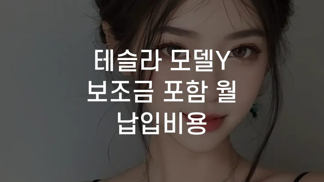 테슬라 모델Y 보조금 포함 월 납입비용