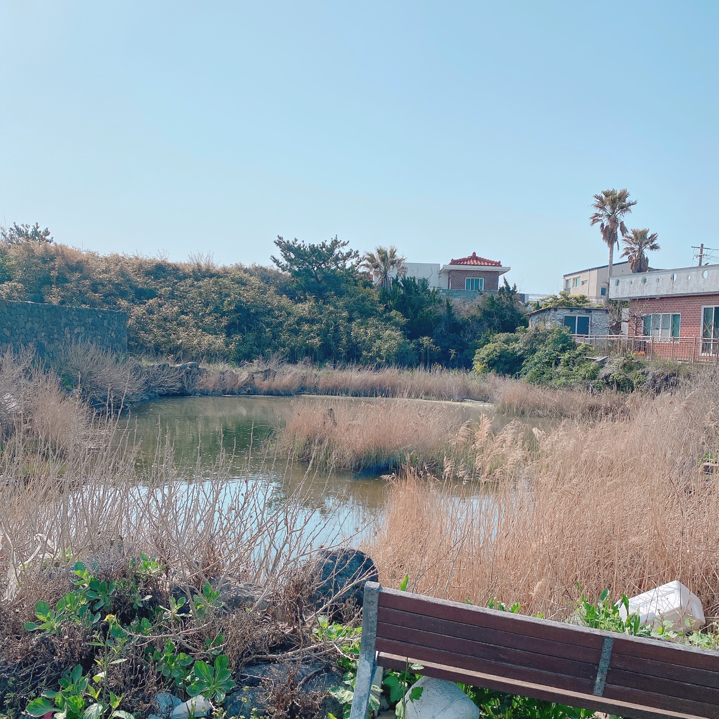제주 닭머르해안길 초당옥수수 아이스크림 신촌 카페 점점
