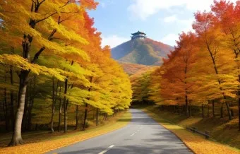 가을 단풍여행 베스트 명소 시니어 추천 코스 완벽 가이드_5