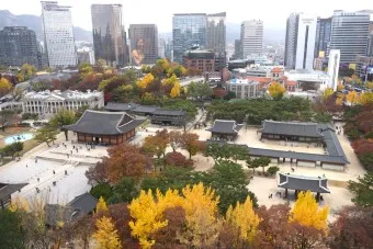 덕수궁 미술관 돌담길 맛집 석조전 돈덕전 입장료_21