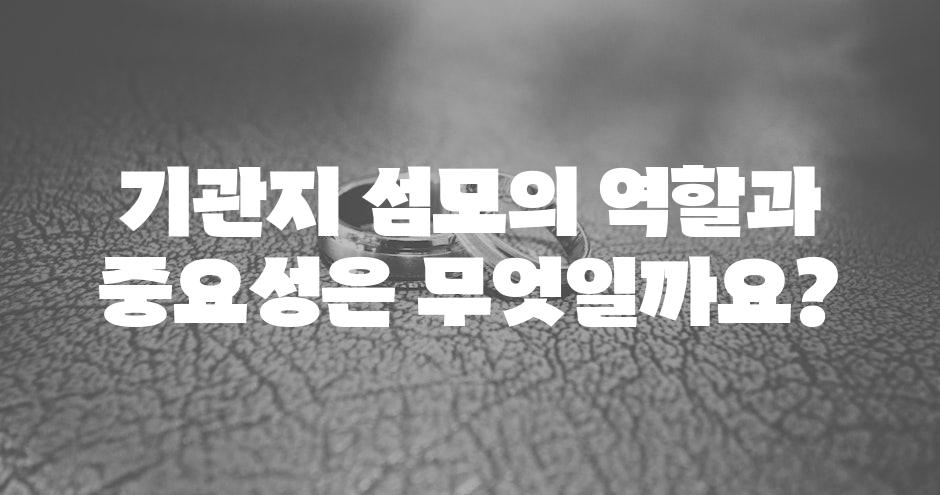 샘플 (68)