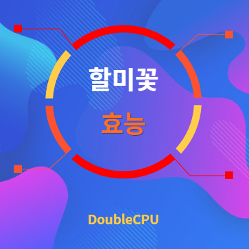 할미꽃 효능 탐구