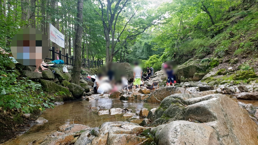 산골의 한 계곡에서 여러 사람들이 차가운 물에 발을 담그며 즐겁게 시간을 보내고 있는 것을 찍은 사진