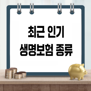 인기 생명보험 비교, 분석, 가입요령