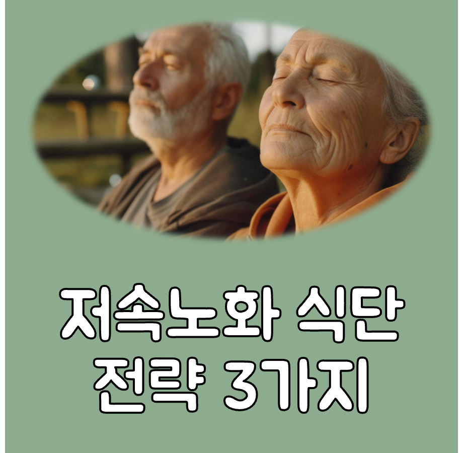 저속노화 식단 대표이미지