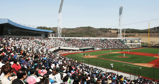 2025년도 롯데자이언츠 연봉협상