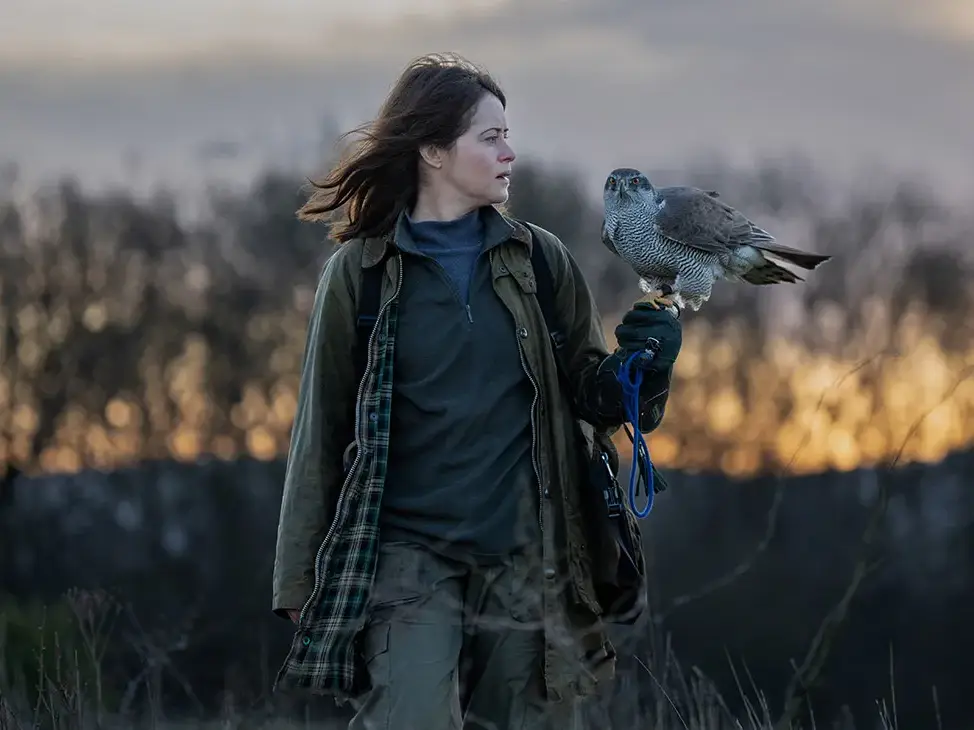 자연에서 매, 고샤크와 함께 걷는 주인공