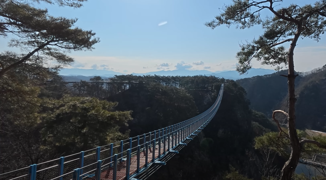 소금산의 출렁다리를 건너와서 보니 멋지게 잘 뻗어 있는 너무도 멋진 다리의 모습을 하고 있네요.