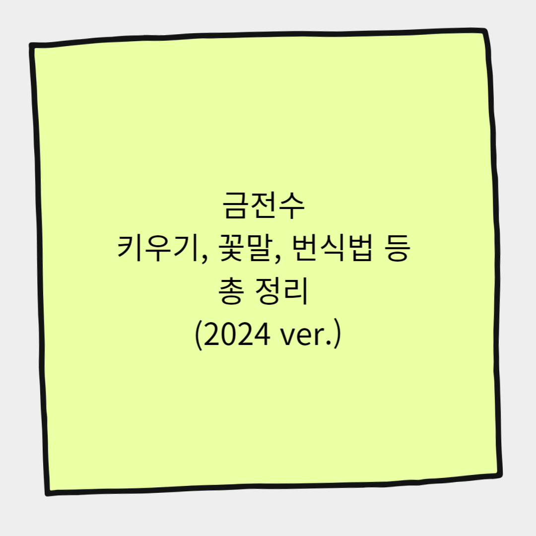 금전수 키우기, 꽃말, 번식법 등 총 정리 (2024 ver.)