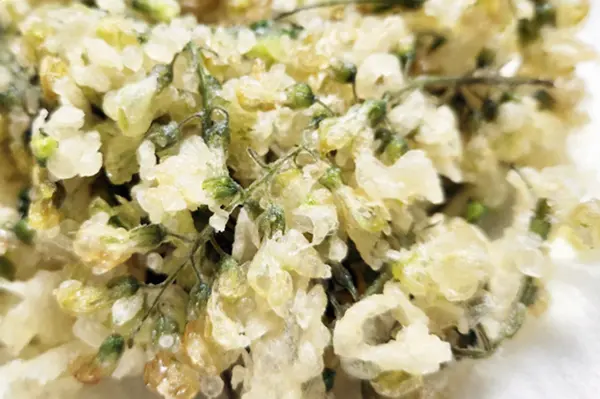 아카시아꽃 튀김