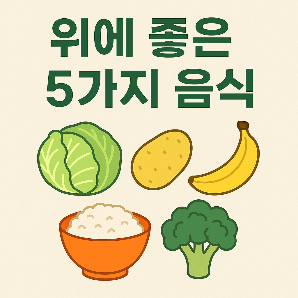 위에좋은 음식 5가지