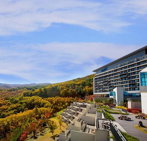 카카오톡예약하기 호텔특가