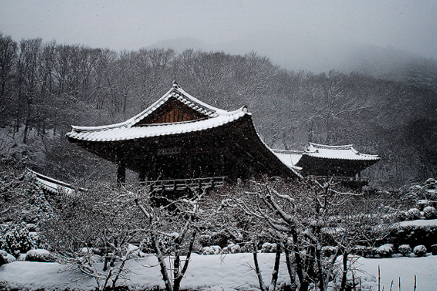 부석사 설경