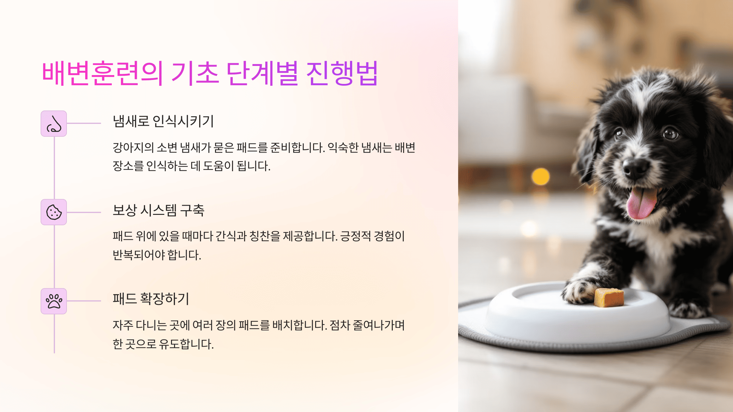 기초부터 시작하는 배변훈련 방법