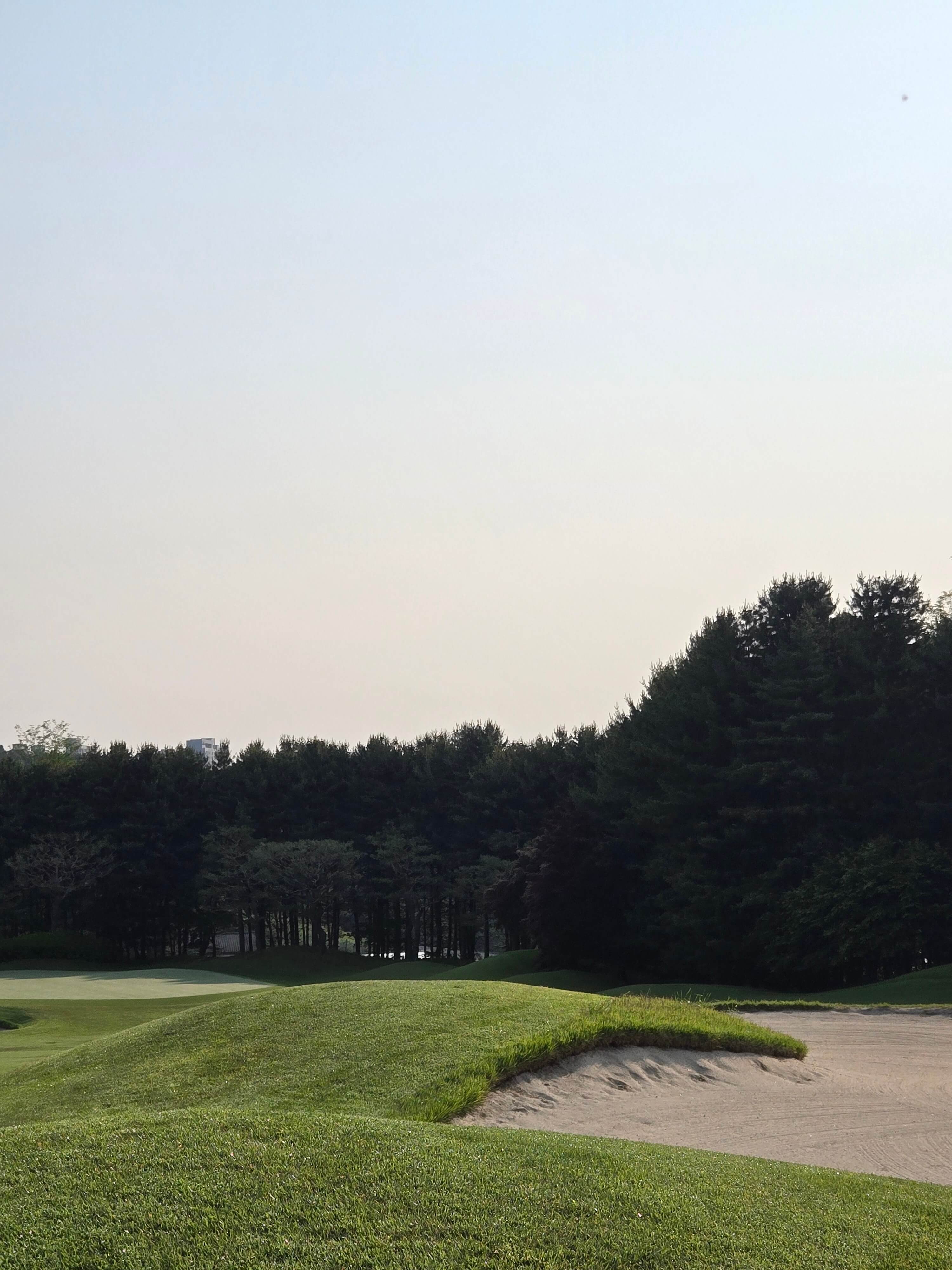 벙커와그린사진