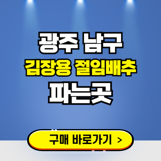 광주 남구 절임배추 사전예약 구입하는곳 ❘ 김장배추 파는곳 가격보기