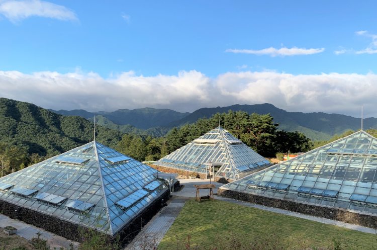 백두대간 수목원