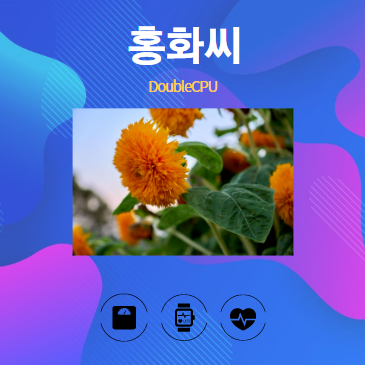 홍화씨 알아보기