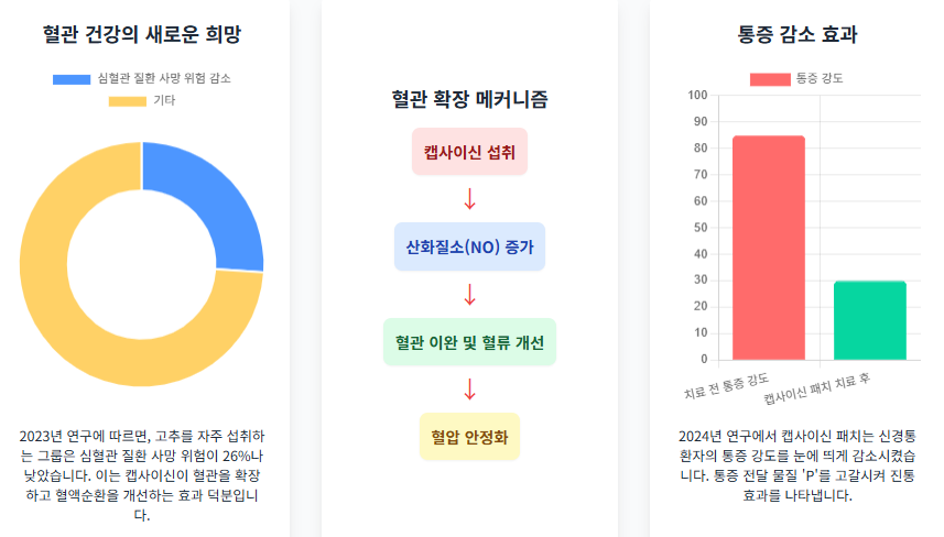 캡사이신의 숨겨진 건강 비밀, 혈관 건강, 염증 감소, 통증 완화!