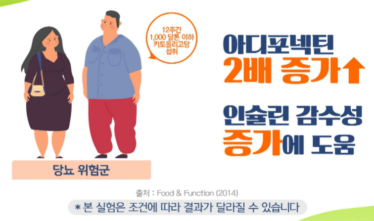 키토올리고당 효능