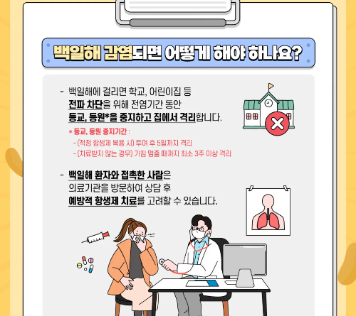 백일해 감염시 대처