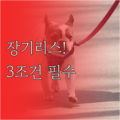 장기리스 계약 전 반드시 확인할 3가..