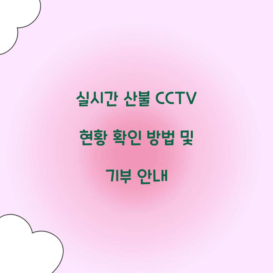 실시간 산불 CCTV 현황