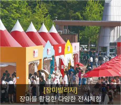 울산 장미축제