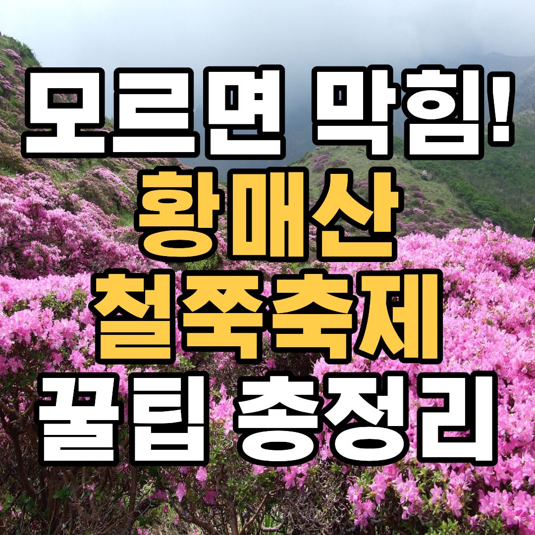 황매산 철쭉축제 일정 주차장 셔틀버스 등산코스 총정리