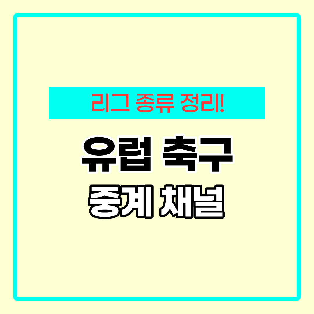 유럽 축구 중계