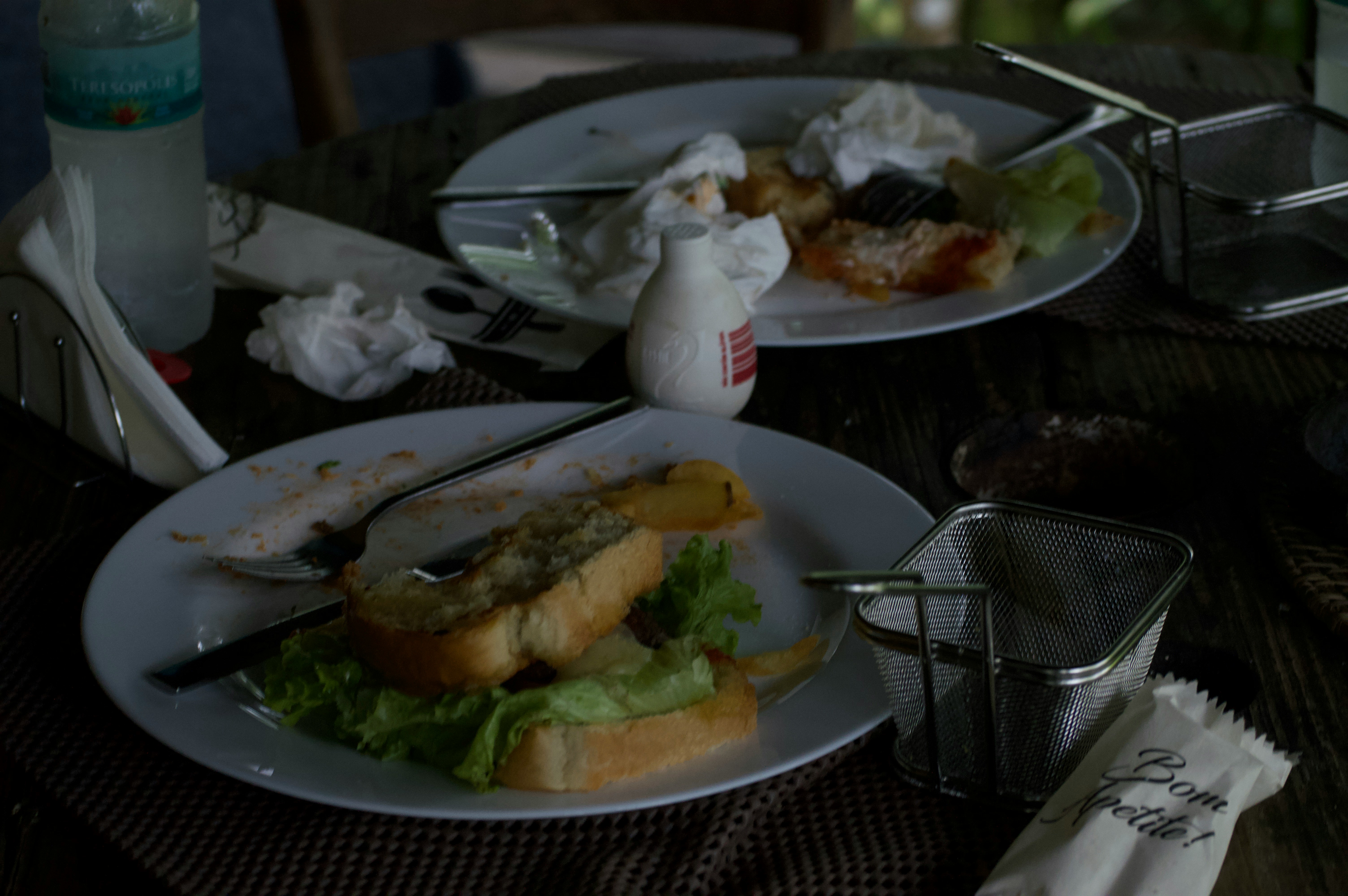 식중독 걸리는 음식