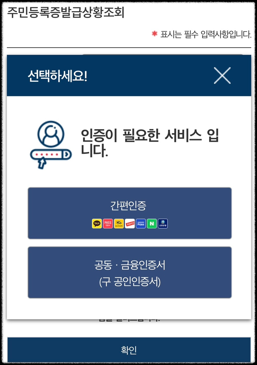 모바일 신분증 발급하기